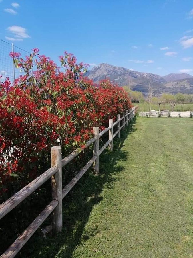 L'Airone Country House Hotel SantʼElia Fiumerapido Exterior foto